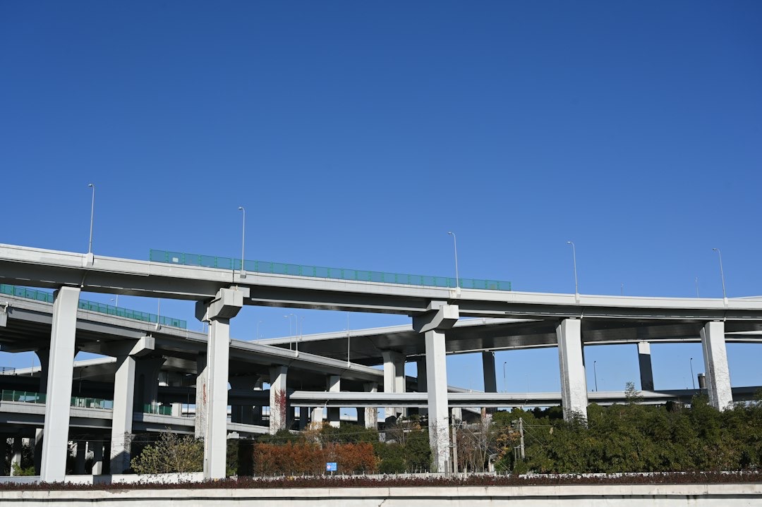 Concrete highway interchange bridges spanning above green foliage.